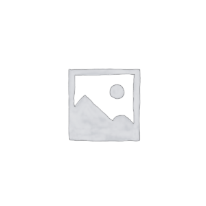 Network Child Protection Officer
